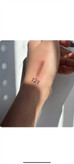 خط لب نایس Nice